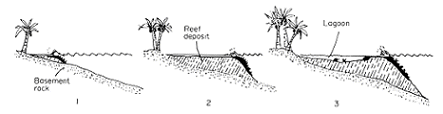 Fringing reef transforming into barrier reef